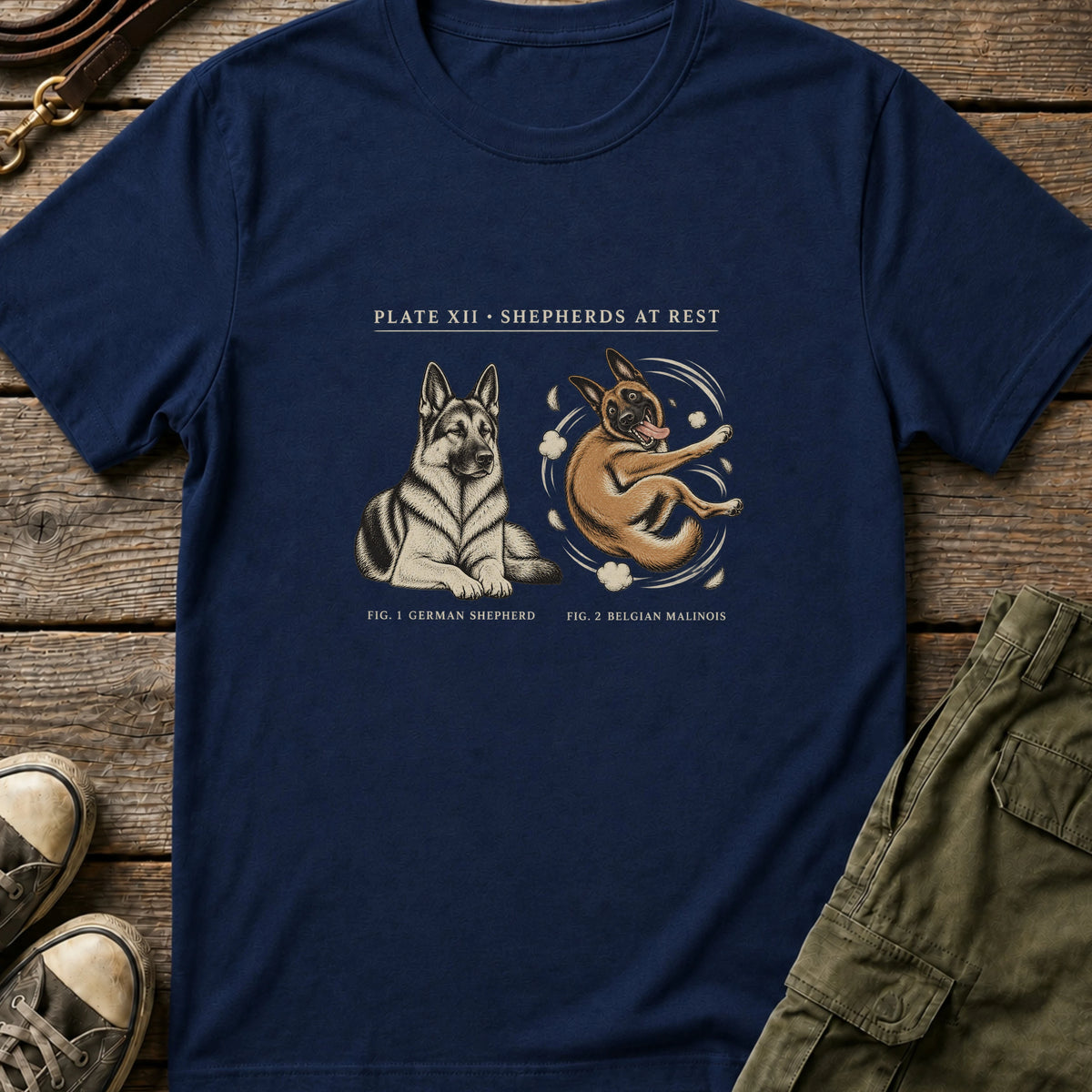 Navy